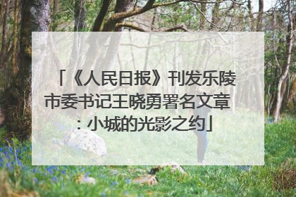 《人民日报》刊发乐陵市委书记王晓勇署名文章：小城的光影之约