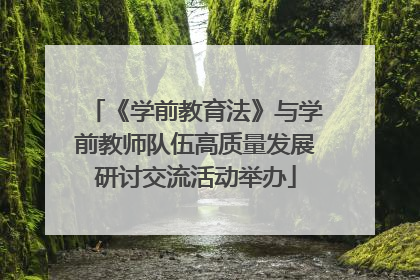 《学前教育法》与学前教师队伍高质量发展研讨交流活动举办