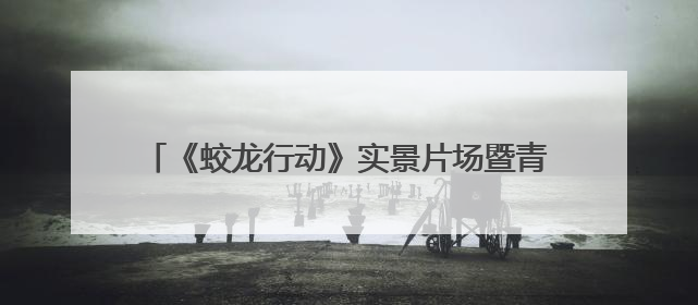 《蛟龙行动》实景片场暨青岛东方影都国防主题文旅研学基地在青岛西海岸新区开业