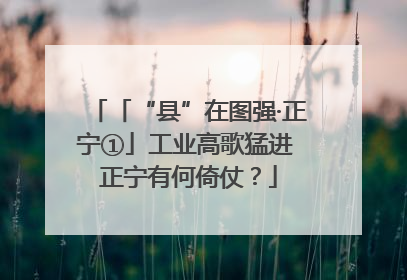 「“县”在图强·正宁①」工业高歌猛进 正宁有何倚仗？
