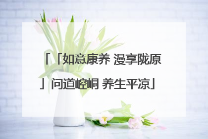 「如意康养 漫享陇原」问道崆峒 养生平凉