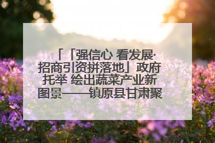 「强信心 看发展·招商引资拼落地」政府托举 绘出蔬菜产业新图景——镇原县甘肃聚广利现代设施蔬菜种植基地见闻