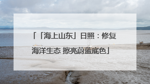 「海上山东」日照：修复海洋生态 擦亮蔚蓝底色
