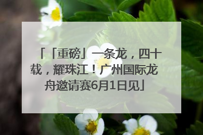 「重磅」一条龙，四十载，耀珠江！广州国际龙舟邀请赛6月1日见