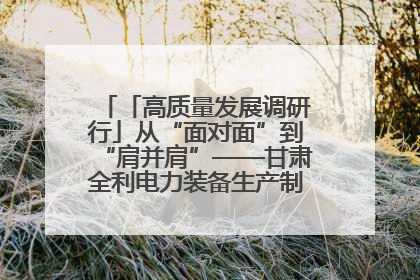 「高质量发展调研行」从“面对面”到“肩并肩”——甘肃全利电力装备生产制造项目一线见闻