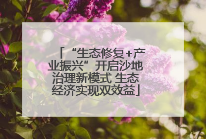 “生态修复+产业振兴”开启沙地治理新模式 生态经济实现双效益