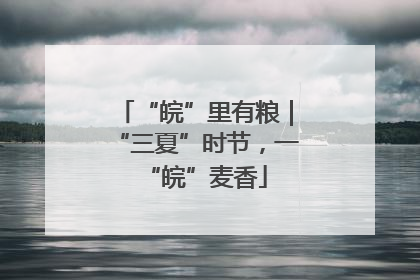 “皖”里有粮｜“三夏”时节，一“皖”麦香