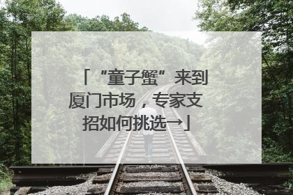 “童子蟹”来到厦门市场，专家支招如何挑选→