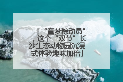 “童梦粽动员”，这个“双节”长沙生态动物园沉浸式体验趣味加倍