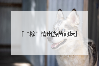 “粽”情出游黄河坛