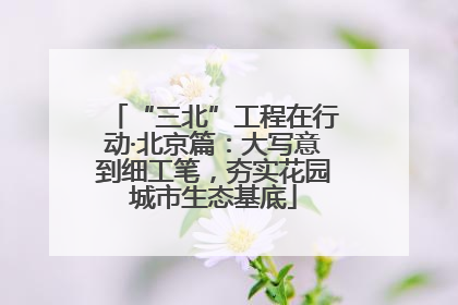 “三北”工程在行动·北京篇：大写意到细工笔，夯实花园城市生态基底
