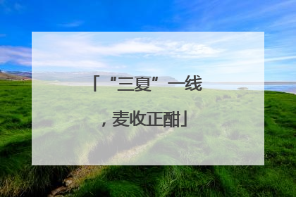 “三夏”一线，麦收正酣