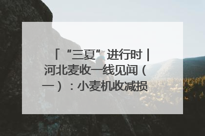 “三夏”进行时｜河北麦收一线见闻（一）：小麦机收减损“竞技” 农机高手麦田“过招”