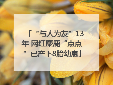 “与人为友”13年 网红麋鹿“点点”已产下8胎幼崽
