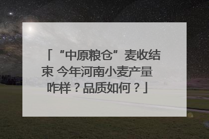 “中原粮仓”麦收结束 今年河南小麦产量咋样？品质如何？