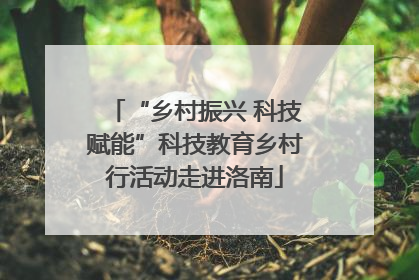 “乡村振兴 科技赋能”科技教育乡村行活动走进洛南