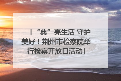 “典”亮生活 守护美好！荆州市检察院举行检察开放日活动