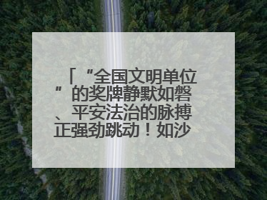 “全国文明单位”的奖牌静默如磐、平安法治的脉搏正强劲跳动！如沙漏翻转，他们开启了全新的计时