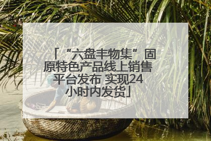 “六盘丰物集”固原特色产品线上销售平台发布 实现24小时内发货