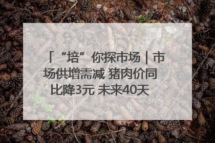 “培”你探市场｜市场供增需减 猪肉价同比降3元 未来40天便宜猪肉敞开吃