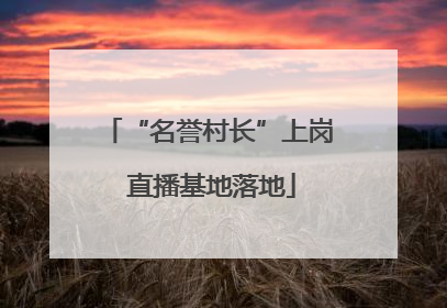 “名誉村长”上岗 直播基地落地