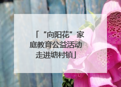 “向阳花”家庭教育公益活动走进塘村镇