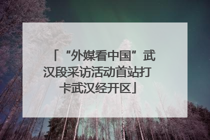 “外媒看中国”武汉段采访活动首站打卡武汉经开区