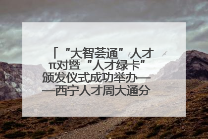 “大智荟通”人才π对暨“人才绿卡”颁发仪式成功举办——西宁人才周大通分会场亮点纷呈