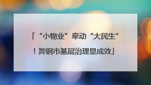 “小物业”牵动“大民生”！舞钢市基层治理显成效