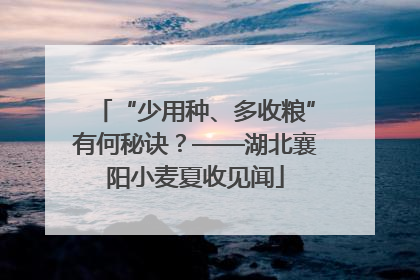 “少用种、多收粮”有何秘诀？——湖北襄阳小麦夏收见闻