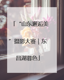 “山东邂逅美”摄影大赛｜东昌湖暮色
