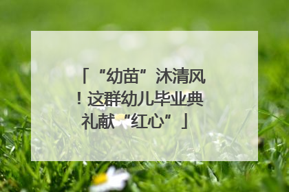 “幼苗”沐清风！这群幼儿毕业典礼献“红心”