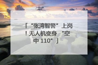“张湾智警”上岗！无人机变身 “空中 110”