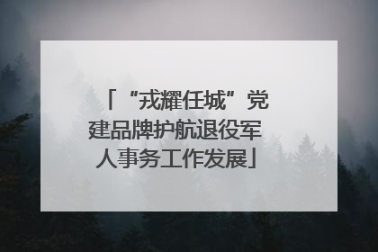 “戎耀任城”党建品牌护航退役军人事务工作发展