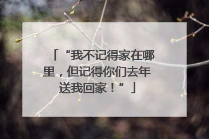 “我不记得家在哪里，但记得你们去年送我回家！”
