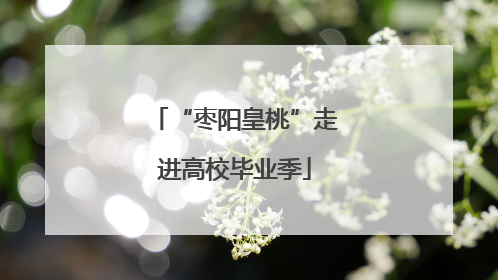 “枣阳皇桃”走进高校毕业季