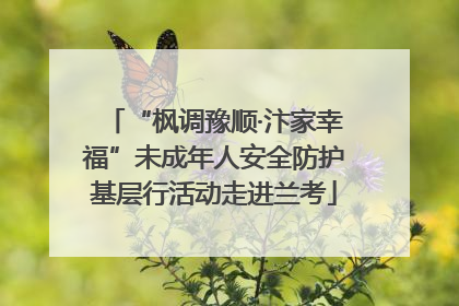“枫调豫顺·汴家幸福”未成年人安全防护基层行活动走进兰考