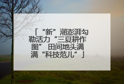 “新”潮澎湃勾勒活力“三夏耕作图” 田间地头满满“科技范儿”