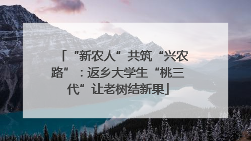 “新农人”共筑“兴农路”：返乡大学生“桃三代”让老树结新果