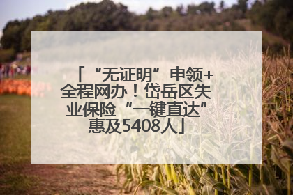 “无证明”申领+全程网办！岱岳区失业保险“一键直达”惠及5408人