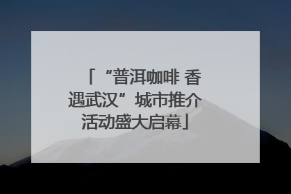 “普洱咖啡 香遇武汉”城市推介活动盛大启幕