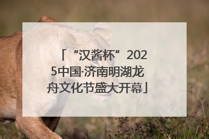 “汉酱杯”2025中国·济南明湖龙舟文化节盛大开幕