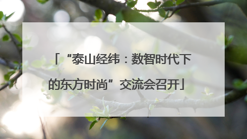 “泰山经纬：数智时代下的东方时尚”交流会召开