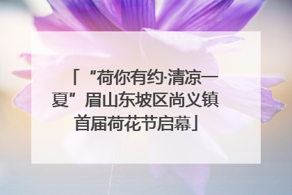 “荷你有约·清凉一夏”眉山东坡区尚义镇首届荷花节启幕