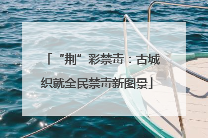“荆”彩禁毒：古城织就全民禁毒新图景
