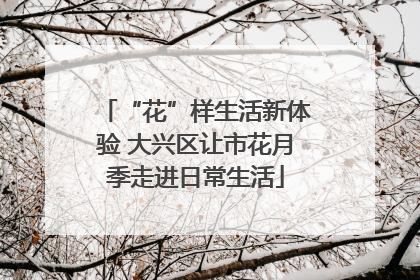 “花”样生活新体验 大兴区让市花月季走进日常生活