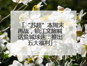 “苏超”本周末再战，镇江文旅喊话盐城球迷：推出五大福利