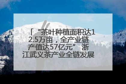 “茶叶种植面积达12.5万亩，全产业链产值达57亿元” 浙江武义茶产业全链发展“加速度”