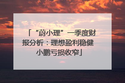 “蔚小理”一季度财报分析：理想盈利稳健 小鹏亏损收窄