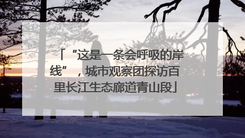 “这是一条会呼吸的岸线”，城市观察团探访百里长江生态廊道青山段